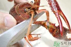 活蝦怎么處理干凈蝦線？活蝦怎么去蝦線？