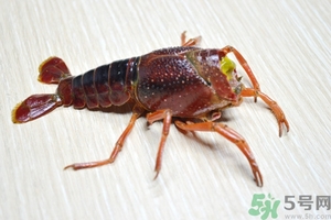 活蝦怎么處理干凈蝦線？活蝦怎么去蝦線？