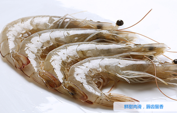 海蝦怎么保存？活海蝦怎么保存？