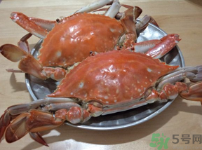 海蟹蒸多長時間？海蟹蒸多長時間最好吃？