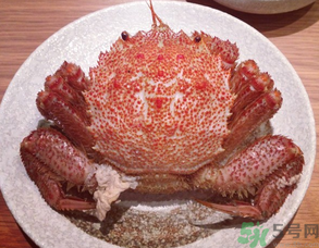 紅毛蟹怎么吃？紅毛蟹怎么做好吃？