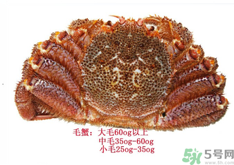 毛蟹蒸多長(zhǎng)時(shí)間？毛蟹蒸多久會(huì)熟？