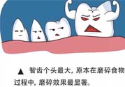 智齒拔了好不好？智齒能不拔嗎？