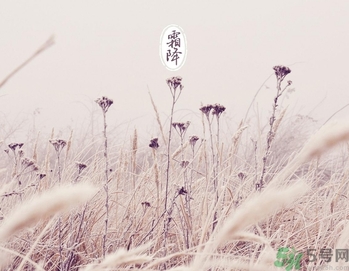 霜降是什么季節(jié)？霜降是秋天還是冬天？