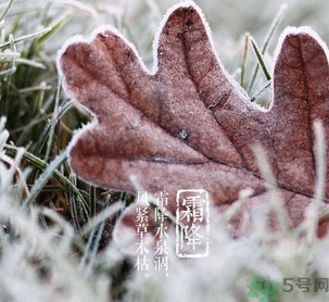 霜降出生的孩子好嗎？霜降出生的寶寶怎么取名？