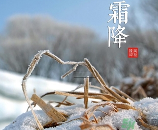 霜降出生的孩子好嗎？霜降出生的寶寶怎么取名？