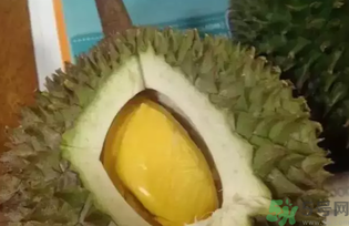 榴蓮吃多了會(huì)怎么樣？榴蓮吃多了好嗎？