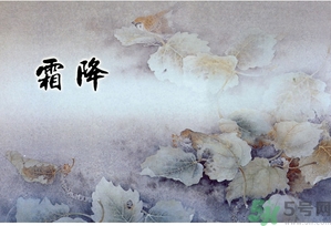 霜降為什么要吃柿子？霜降吃柿子有什么好處？