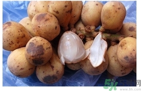 椰色果的功效作用 椰色果怎么吃？