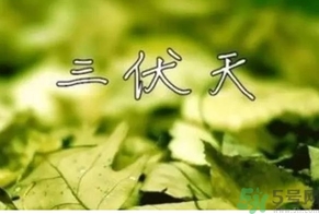 三伏天可以理發(fā)嗎？三伏天為什么不能理發(fā)？