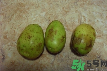 土豆發(fā)綠還能吃嗎？土豆發(fā)綠皮削皮后能吃嗎？