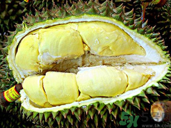 月經(jīng)期間可以吃榴蓮嗎？來月經(jīng)可以吃榴蓮嗎？
