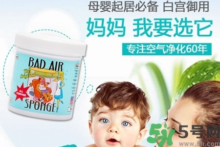 美國(guó)bad air sponge空氣凈化劑多少錢？