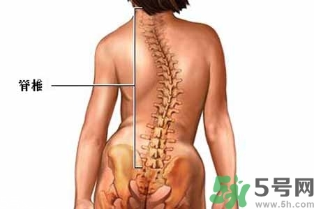僵直性脊椎炎的癥狀有哪些？怎樣預(yù)防僵直性脊椎炎？
