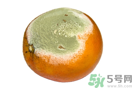 水果發(fā)霉了可以吃嗎？發(fā)霉的水果對人體有什么危害？
