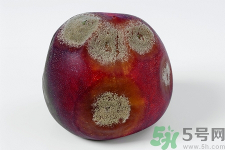 水果發(fā)霉了可以吃嗎？發(fā)霉的水果對人體有什么危害？
