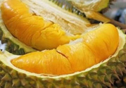 小孩能吃榴蓮嗎？榴蓮小孩能吃嗎？