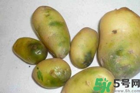 土豆發(fā)綠還能吃嗎？土豆發(fā)綠皮削皮后能吃嗎？
