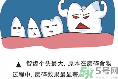 智齒拔完后有個(gè)洞怎么辦？拔智齒后有個(gè)洞多久能長好？