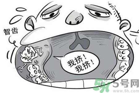 智齒拔完后有個(gè)洞怎么辦？拔智齒后有個(gè)洞多久能長好？