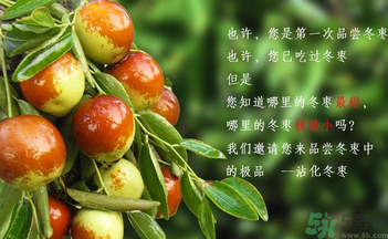 晚上吃棗子會胖嗎？晚上吃新鮮棗子會胖嗎？