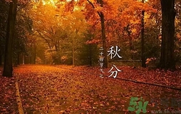 秋分做什么運(yùn)動(dòng)好？秋分運(yùn)動(dòng)注意事項(xiàng)
