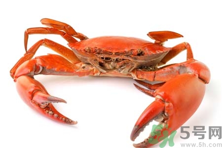 10月吃陽(yáng)澄湖大閘蟹好嗎？大閘蟹怎么做好吃？
