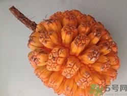 山菠蘿怎么吃？山菠蘿的功效與作用