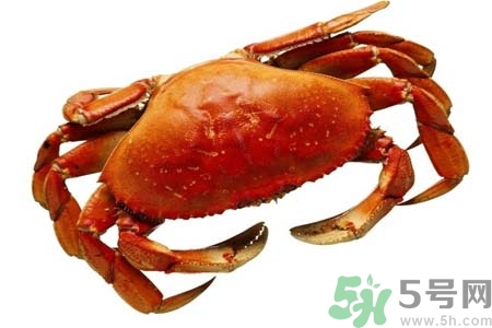 吃螃蟹后眼睛發(fā)暈怎么回事？吃螃蟹眼睛發(fā)暈怎么辦？