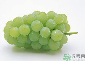 新鮮葡萄能放冰箱嗎？新鮮葡萄的保存方法
