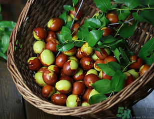 新鮮紅棗補(bǔ)血嗎？吃新鮮紅棗補(bǔ)血嗎？