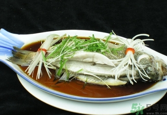 鱸魚是淡水魚還是海水魚？鱸魚是海魚嗎？