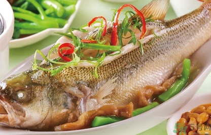鱸魚是發(fā)物嗎？手術(shù)后可以吃鱸魚嗎？