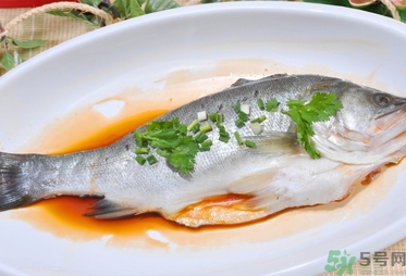 鱸魚是發(fā)物嗎？手術(shù)后可以吃鱸魚嗎？