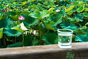 小蘇打能治癌癥嗎？蘇打水可以治癌癥嗎？