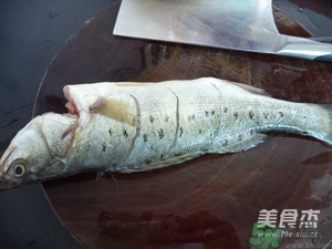 鱸魚蒸多長(zhǎng)時(shí)間？鱸魚怎么蒸？