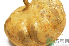 涼暑什么時(shí)候最好吃？涼薯發(fā)芽能吃嗎？