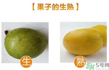蛋黃果多少錢一斤？蛋黃果什么時候成熟？