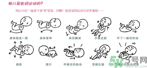 胎動怎么數(shù)最正確？胎動有什么規(guī)律？