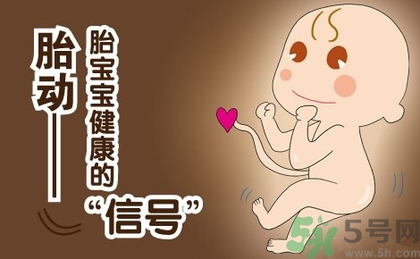 胎動怎么數(shù)最正確？胎動有什么規(guī)律？