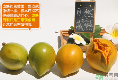 蛋黃果怎么催熟？生的蛋黃果如何催熟？