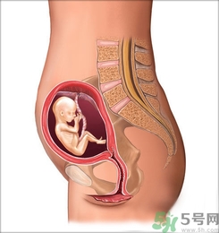 胎動頻繁正常嗎?胎動頻繁是什么原因？