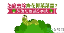 西蘭花里有蟲子怎么辦？花椰菜里面好多蟲怎么辦？