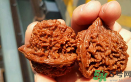 核桃長蟲了還能吃嗎？核桃長蟲子怎么處理？