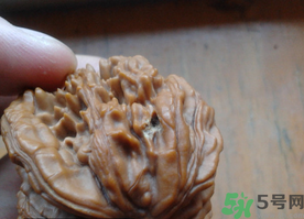 核桃長蟲了還能吃嗎？核桃長蟲子怎么處理？