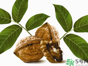 核桃一天吃幾個(gè)合適？核桃一天吃幾個(gè)最好？