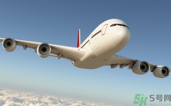 懷孕兩個月可以坐飛機嗎？懷孕兩個月坐飛機注意事項