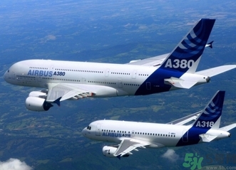 懷孕兩個月可以坐飛機嗎？懷孕兩個月坐飛機注意事項