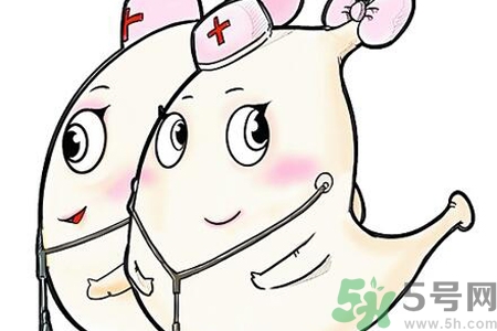 胃會餓小嗎？經(jīng)常肚子餓對胃有什么影響？