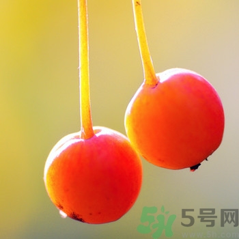 海棠果孕婦能吃嗎？海棠果的功效與作用